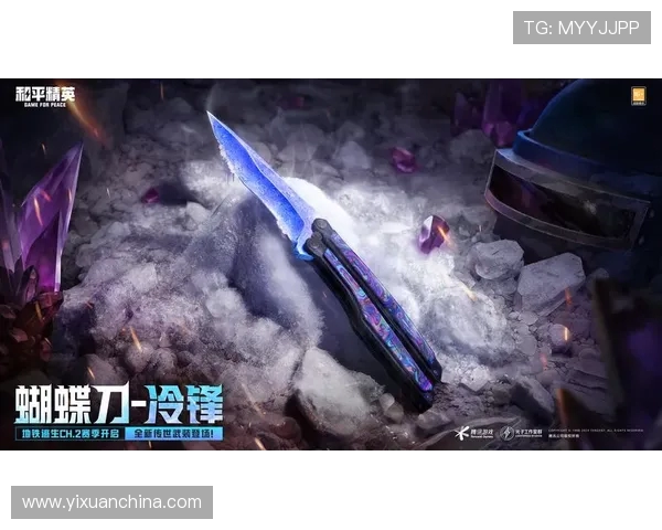 张丽专访揭秘和平精英成功背后的策略与创新思维